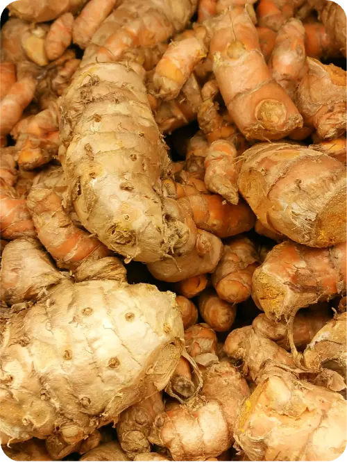 Turmeric